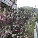 고한사북보건지소 | 강원도 정선 탄탄대로 산책(정선 생태산업유산길)