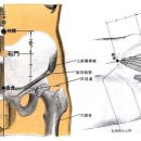 석문혈CV5 석문(石門, 1개 혈) 三焦之募穴. 婦人禁鍼禁灸犯終身絶者(鍼灸取英) 이미지