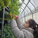 재님농장 | 용인 6세 아이와 가볼만한 딸기 체험, 동물 농장 포레스트 벨 이용 후기 소개