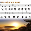 낮엔해처럼밤엔달처럼 이미지