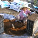 민수농장 이미지