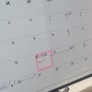 모으리 | 퇴사한 오타쿠 H씨의 8월 일상