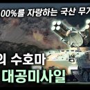 한국의 수호마 "천마 대공미사일" / 명중률 100%를 자랑하는 국산 무기! [지식스토리] 이미지