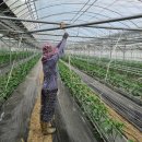 진형농장 이미지