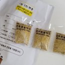 화정푸른솔약국 이미지