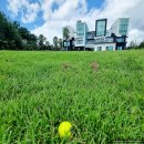 제주애견동반감성숙소 르페도라 이미지