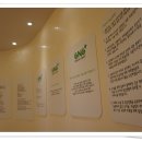 일등이비인후과의원 이미지