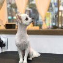 덕이 미장원 이미지