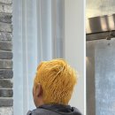 미네뜨 | 낙성대역 살롱미네뜨 낙성점 탈색+딥그레이 후기