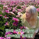 보통1리 마을회관 | 경기도 여주 드라이브 갈만한곳 소지개농장 작약꽃밭