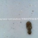 제로방역