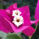 덮어보까 이미지