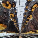 천풍농장 이미지