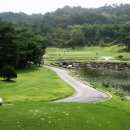 리얼골프존 이미지