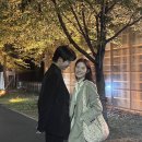(주)가인상사 동탄점 | 오월 어느날에 피었던..