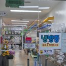 양재꽃시장 소매시장 저녁방문후기 영업시간 찾아오는길 6월시세 가격