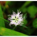 술 도둑놈 이미지