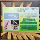 메인당구클럽 | 초등아이와 나트랑여행: 아미아나 리조트 룸컨디션 조식 키즈클럽 후기