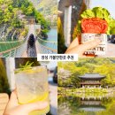바빈스커피장성호수변길점 | 전남 장성 가볼만한곳 내장산 백양사 여행 코스 장성 카페 추천