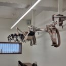혼자만 알고 싶은 제주 미용실, 세실 제주연동점 솔직 후기