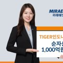 50 이미지