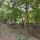 이사주당?유한규묘 이미지