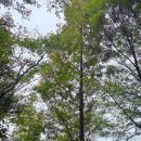 내동리2 소교량 12 | 영암 - 월출산 조각공원, 영암향교