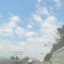 가나농장 | 간월재 사슴농장코스 강아지 동반후기 주차 +꿀팁