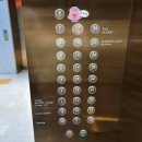 한가람삼성 201동 앞 | 부산 기장 숙소 마티에 오시리아 컴포트 슈페리어 솔직후기 장단점 (마후닭, 일광수산횟집 포장)