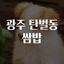 탄벌동 이미지
