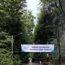 파리바게뜨 분당매송점 | 이매 아름마을 한성아파트 리뷰 (아기와 함께 시작한 보금자리)