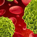 비타민신통 이미지