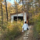 학산작은도서관 | 전주 아이와 가볼만한곳 학산숲속시집도서관 산책로