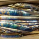 1대물호 이미지