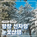 제대아파트 (제대마을방면) | 선자령 겨울산행 막차 탑승, 환상의 눈꽃터널 다녀왔어요(ft. 등산 코스, 준비물 총정리)