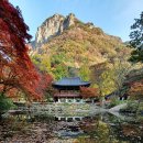 백양사 쌍계루 이미지