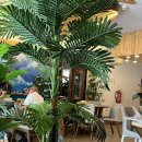 도하동물병원 | [도하 일상] Thai Aroi에서 밥 먹고, 오버쿠킹 하다가 공포영화까지