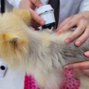 두카메디컬센터 이미지