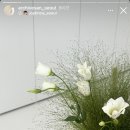 오후웍스플라워스튜디오