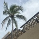 수비치캐슬 | 무이네여행 3일차 와인캐슬,신밧드케밥, 한나비치펍 후기