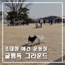 [파주 애견카페] 파주 초대형 애견 운동장 글램독 그라운드 후기!!