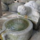 사우약수터 이미지