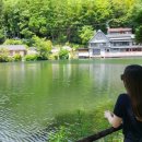 (주)금빛물고기 이미지