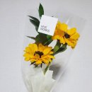 대판장 동성로점 이미지