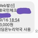 디딤온누리약국 네이버블로그