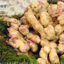 하늘애한의원 이미지