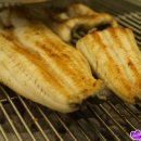 백마강숯불민물장어 네이버블로그