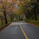 아름다운산골