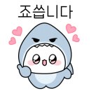달구지 마트 이미지