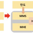 가치에스엔티